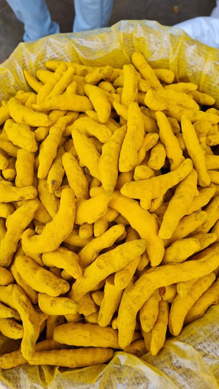 Turmeric Fingers - Salem